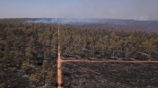 Des régions du Brésil en alerte face à une sécheresse de l'air historique