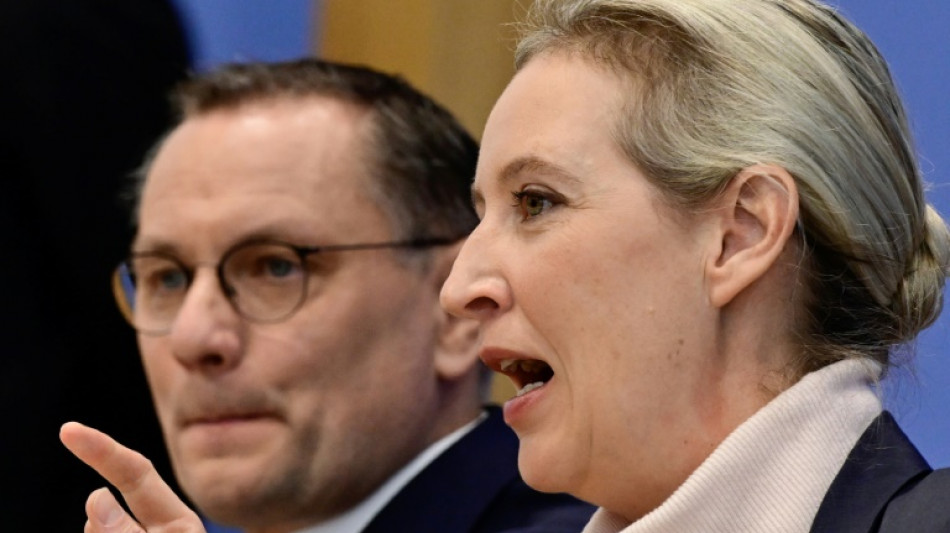 "Normalität im Bundestag": Weidel erhebt Anspruch ihrer Partei auf wichtige Posten