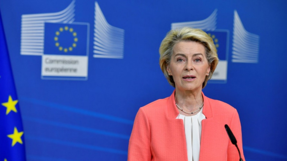 Von der Leyen nutzte öfter Privatjets für Dienstreisen