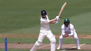 Williamson puts New Zealand within 94 runs of winning second Test