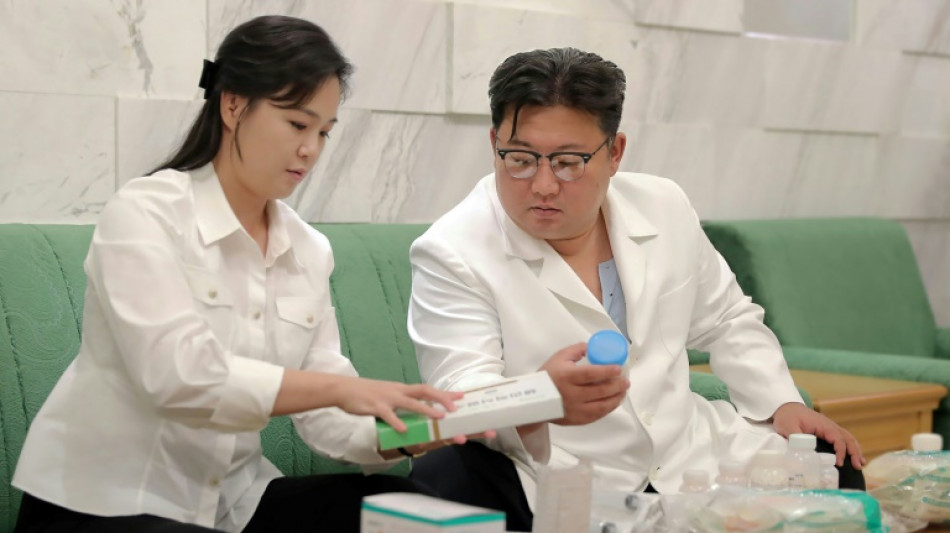 North Korea says hundreds of families ill with intestinal disease