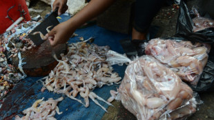 La foire aux grenouilles de Vittel fait bondir les écologistes