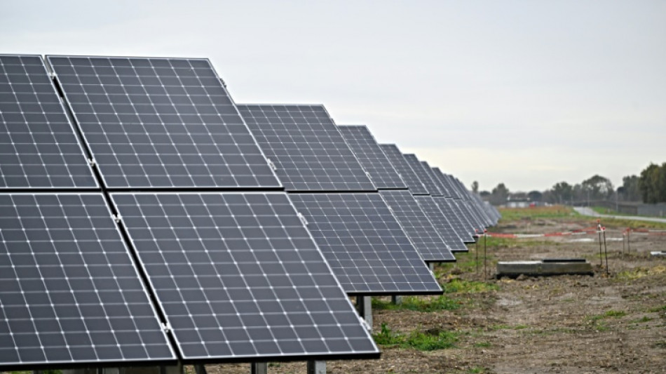 La energía solar superó por primera vez al carbón en la producción de electricidad en la UE en 2024