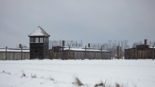 Scholz: Unwissenheit über Holocaust unter jungen Menschen "bedrückend"