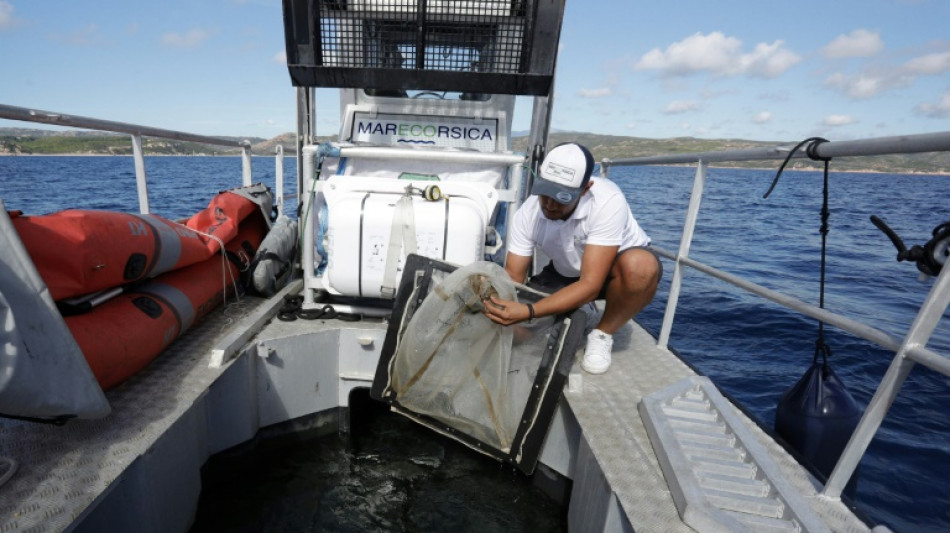 "Cerrar el grifo" del plástico para salvar el Mediterráneo