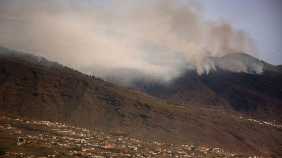 Incendie à Tenerife: évolution "favorable" après trois jours de bataille