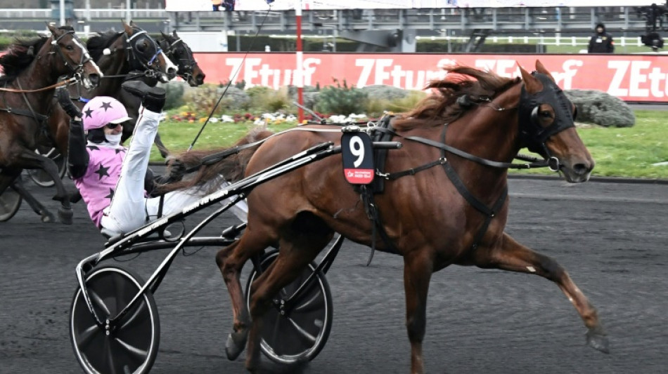 Hooker Berry back to defend his crown in trotting's Holy Grail