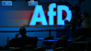 CDU-Parlamentarier Wanderwitz: "Höchste Zeit" für AfD-Verbotsantrag