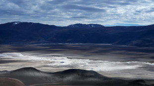 Chile's lithium dreams raise water concerns in the desert 