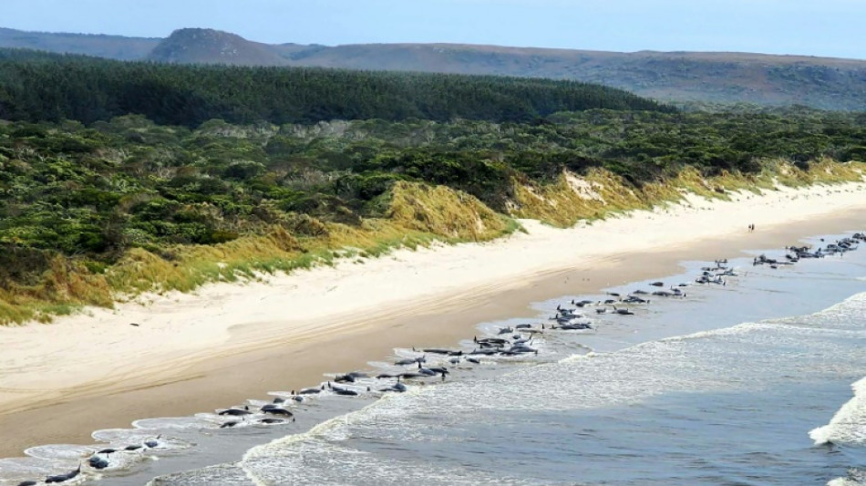 Australie: 200 cétacés meurent échoués sur une plage