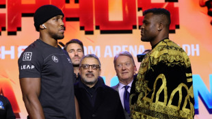 Rags-to-riches Ngannou targets Joshua heavyweight shock