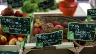 Face à la crise du bio, les agriculteurs d'Occitanie font le "dos rond"