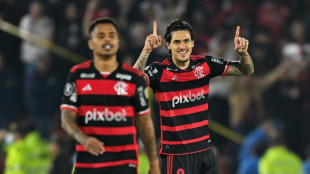 Flamengo enfrenta Palestino em casa buscando confirmar seu favoritismo na Libertadores