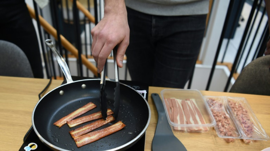 Verbraucherschützer fordern "endlich" neue Leitsätze für Fleischersatzprodukte  