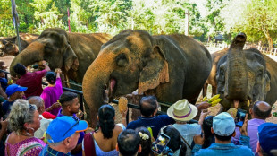 Sri Lanka: festin de fruits pour les éléphants du premier orphelinat pour pachydermes du monde 