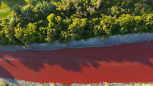 Las aguas de un arroyo de Buenos Aires bajan teñidas de rojo