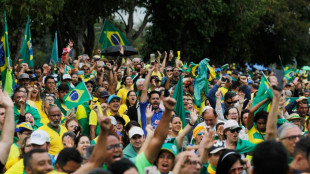 Tausende Brasilianer fordern Eingreifen der Armee nach Bolsonaros Wahlniederlage