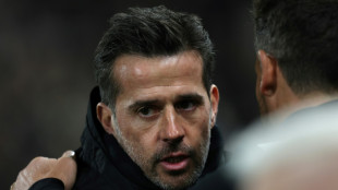 Fulham's Silva understands Ten Hag's anger after social media post 