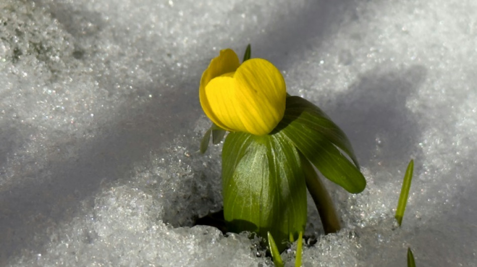 Relativ warm und wenig Schnee: Deutschland erlebt 14. milden Winter in Folge