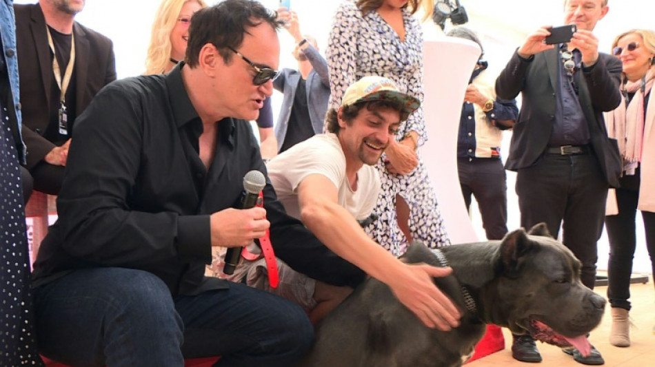 Palm Dog celebrates Ukraine landmine-sniffer at Cannes