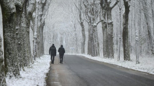 Inhabituelle neige de printemps dans une vingtaine de départements: circulation perturbée