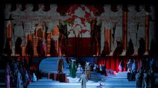 Ai Weiwei makes operatic debut with 'Turandot' in Rome