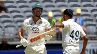 Pakistan dig in after Australia dismissed for 487