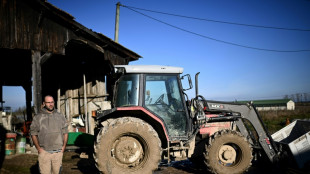 Journal d'un agriculteur: "les Petits Poucets comme moi, on se débrouille seul"