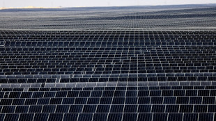 Australia green lights world's 'largest' solar hub