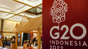 US leads G20 boycott of Russian finance officials