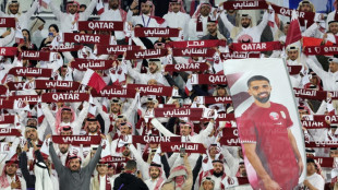 Qatar captain says reaching Asian Cup final proved critics wrong