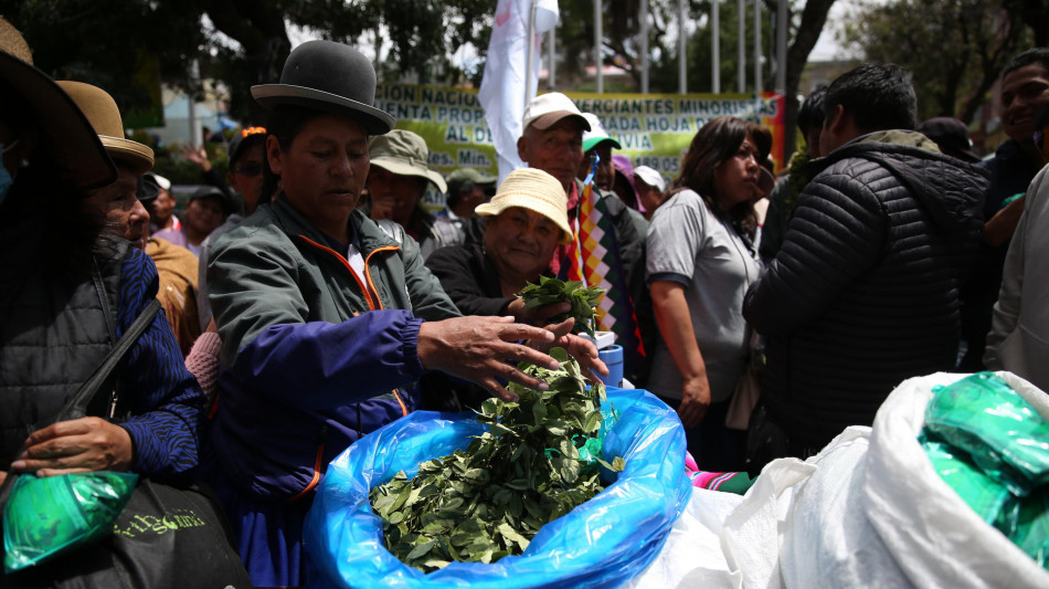 'Messico e Bolivia con Colombia per legalizzare foglia di coca'