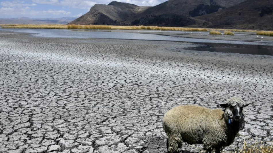 Climate change main culprit for hot South American winter