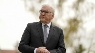 "Bild": Steinmeier sagt für Donnerstag geplante Reise nach Kiew ab