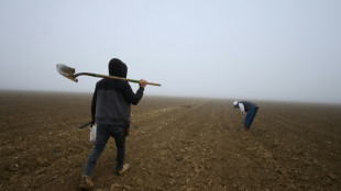 Agricultores americanos expressam preocupação com promessa de deportações em massa de Trump