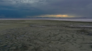 Sécheresse aux Etats-Unis: le Grand Lac Salé d'Utah à son plus bas historique