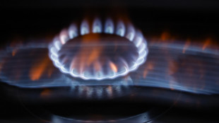 Il gas rallenta sotto i 44 euro sulla piazza di Amsterdam