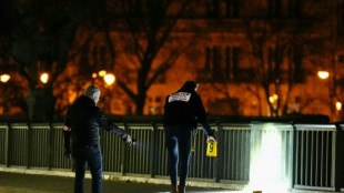 L'assaillant du pont de Bir-Hakeim, un converti à l'islam radical avec des troubles psychiatriques