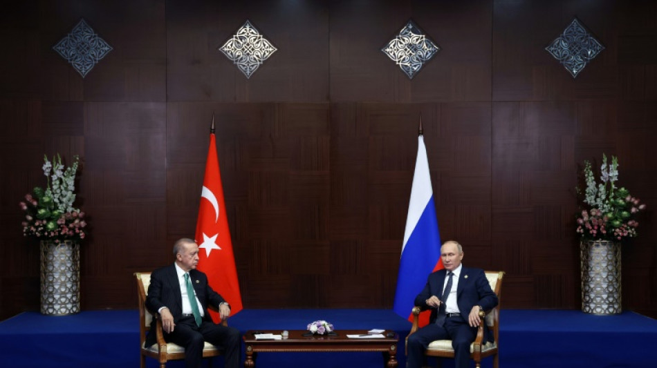 Erdogan und Putin wollen Wirtschaftsbeziehungen ausbauen