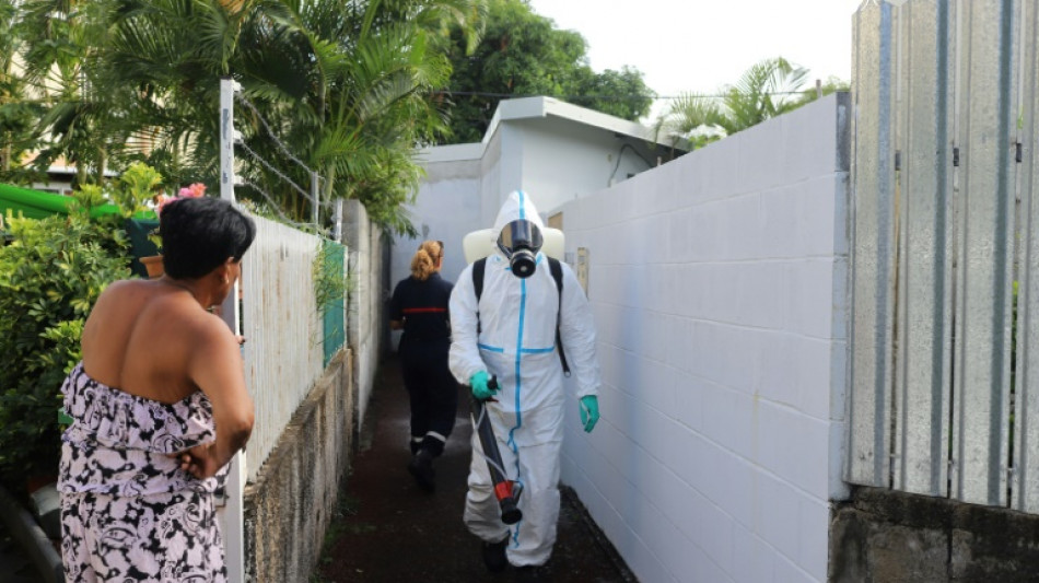 Mosquito-borne chikungunya kills two in France's La Reunion