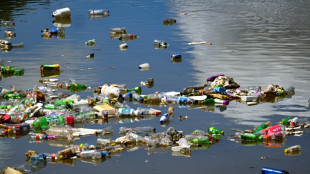 Europe wants ministers at plastic pollution treaty talks