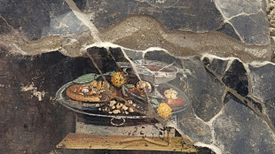 Pompeii fresco shows pizza precursor -- but hold the cheese