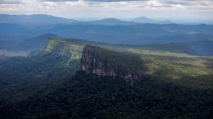 Brésil: des orpailleurs fuient les terres yanomami avant l'arrivée de la police