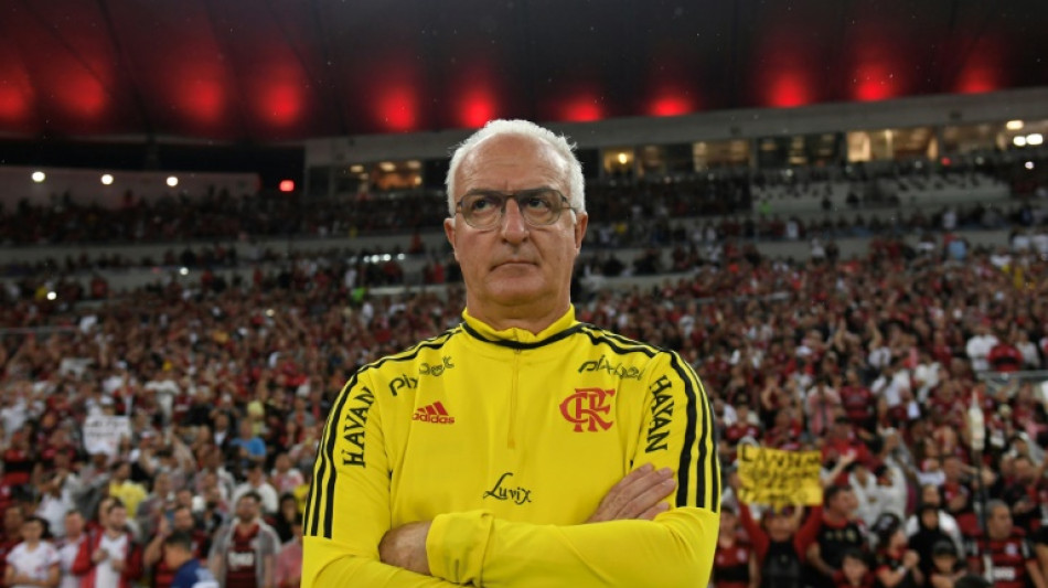 Brazil confirm Dorival Junior as new coach