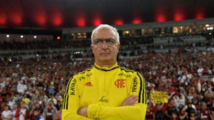 Brazil confirm Dorival Junior as new coach