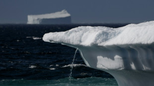 Groenlandia perdió más hielo de lo que se pensaba hasta ahora, según un estudio