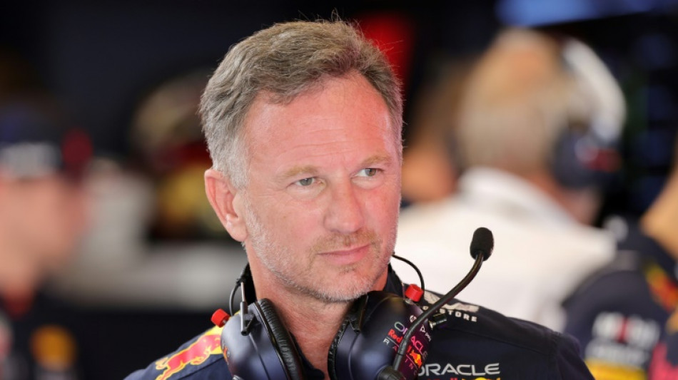 Christian Horner - Red Bull mastermind in the eye of a storm