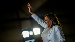 Kamala conseguirá recuperar voto dos muçulmanos de Michigan, crucial para os democratas?