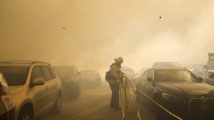 Stato di emergenza a Los Angeles, 30 mila sfollati per rogo