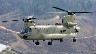 Presse: Bundesregierung will 60 Chinook-Hubschrauber für Bundeswehr kaufen